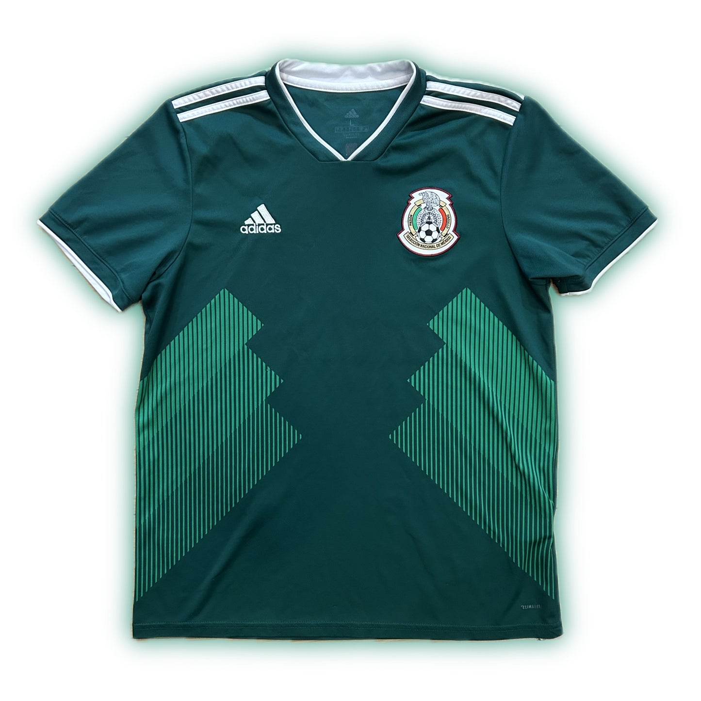 Mexique domicile CDM 2018 (S)
